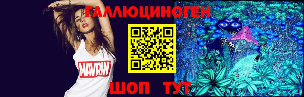 Псилоцибиновые грибы Psilocybe Калининград