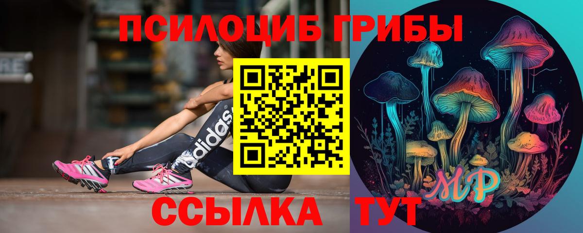 Псилоцибиновые грибы мицелий  Вход с VPN  Калининград 